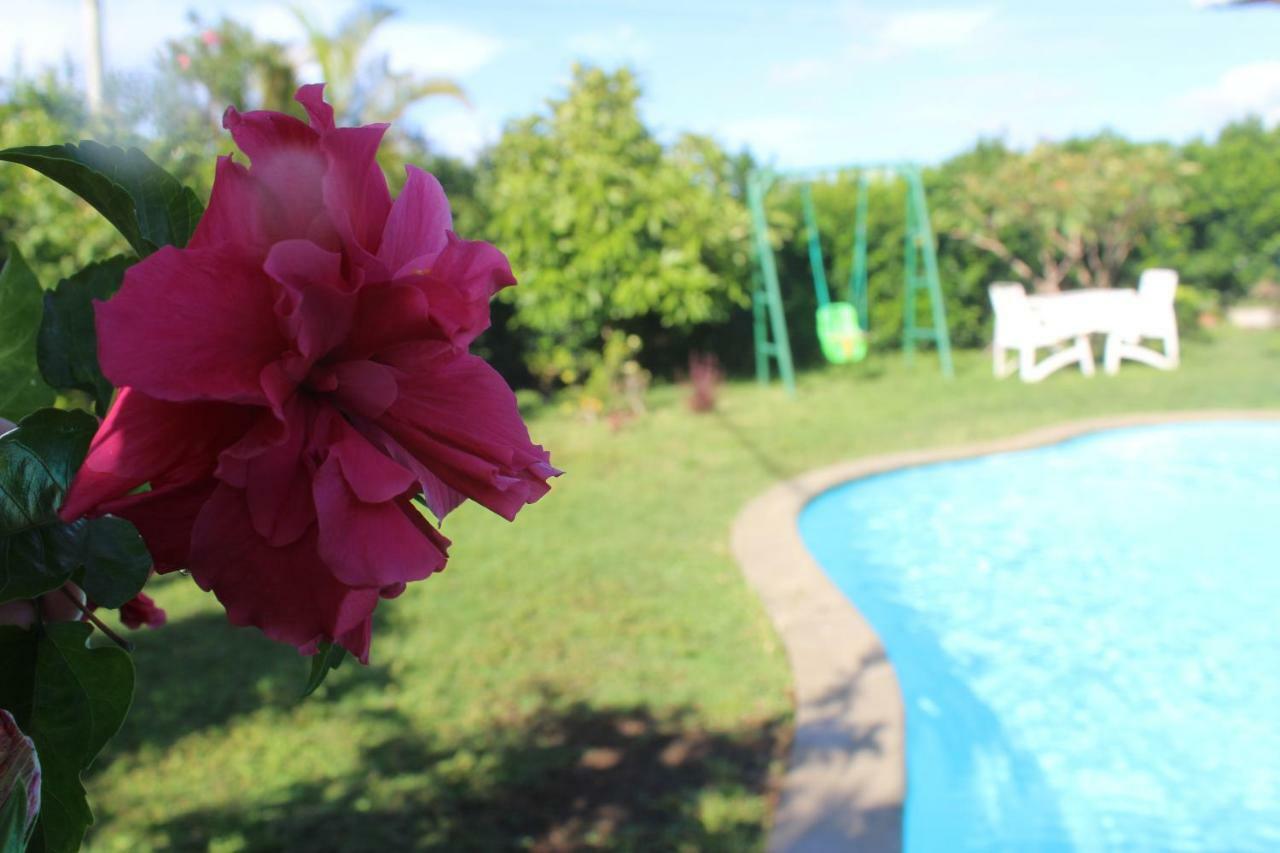 Gite Des Acacias Union Vale Екстер'єр фото