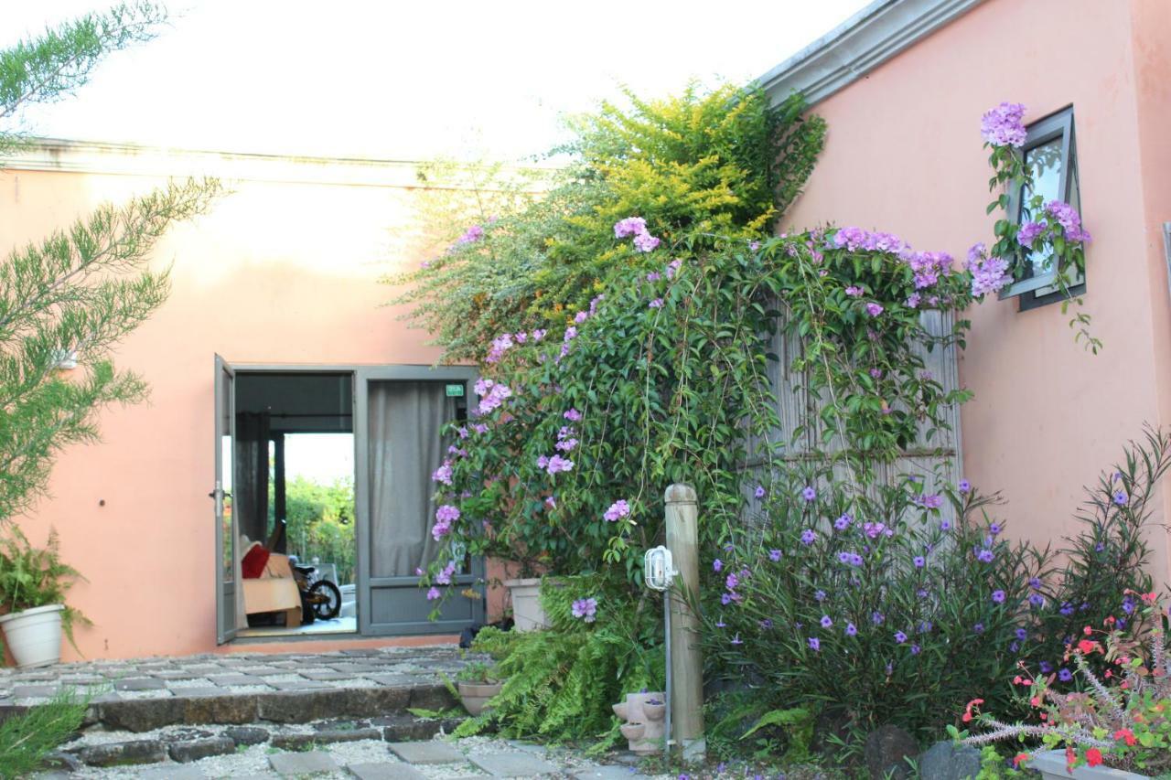 Gite Des Acacias Union Vale Екстер'єр фото